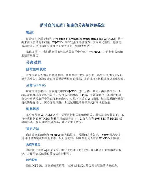 脐带血间充质干细胞的分离培养和鉴定