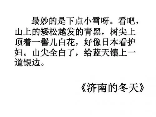 老舍《我的母亲》PPT