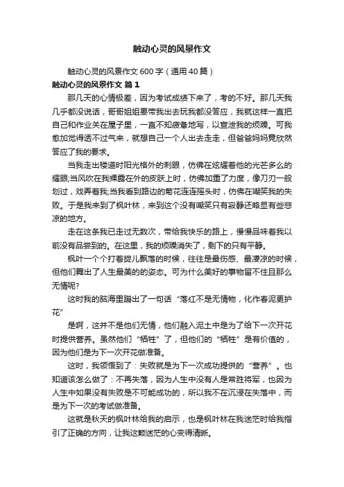 触动心灵的风景作文