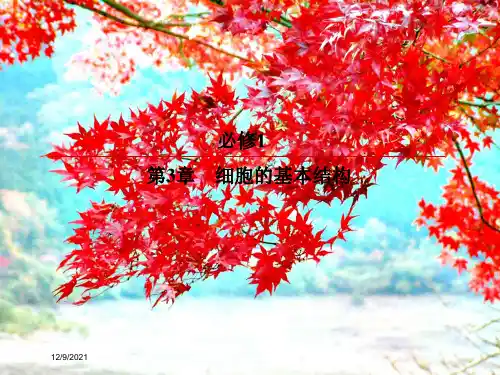 高考生物一轮复习 第3章 细胞的基本结构 第1节 细胞膜系统的边界 细胞核系统的控制中心课件