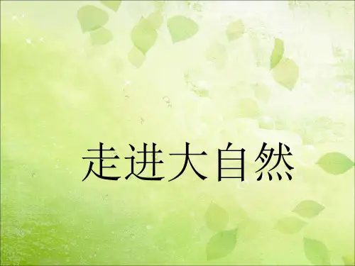 粤教粤科版小学科学 精品课件：1 走进大自然【精品】课件
