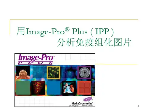IPP-分析免疫组化图片  ppt课件