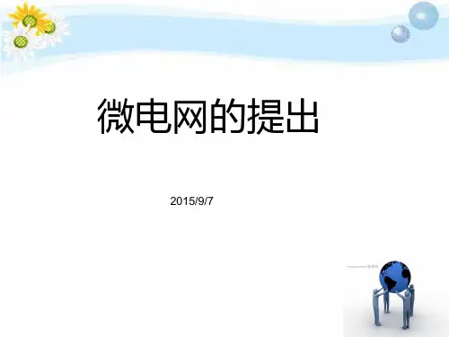 微电网PPT课件