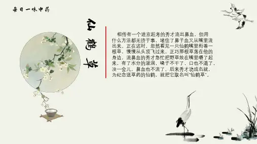 每日一中药-仙鹤草