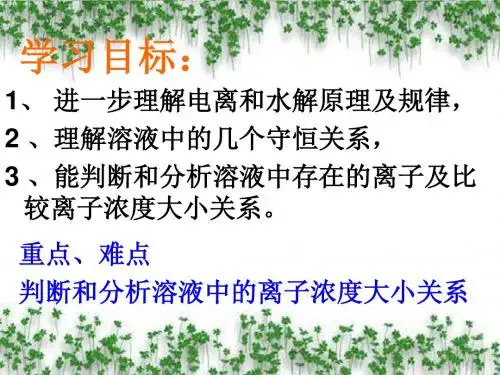 溶液中离子浓度大小关系