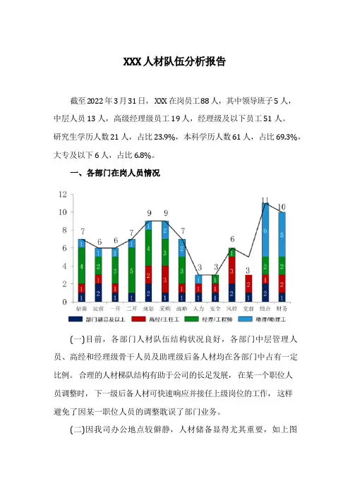 人才队伍分析报告