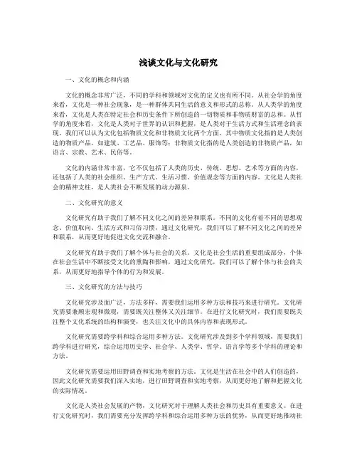 浅谈文化与文化研究
