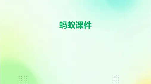 蚂蚁课件ppt