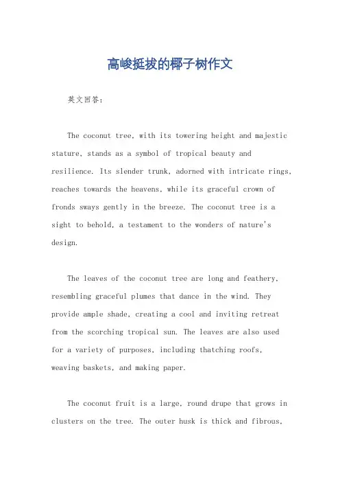 高峻挺拔的椰子树作文