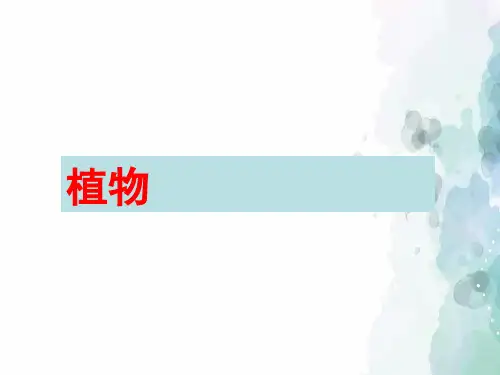 北京课改版-生物-八年级下册-13.4《植物》课件2