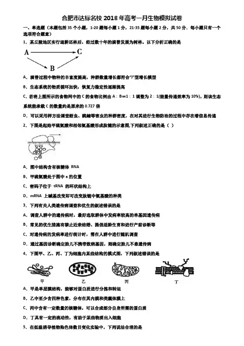 合肥市达标名校2018年高考一月生物模拟试卷含解析