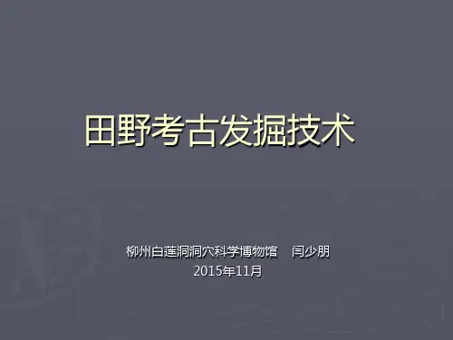 田野考古发掘技术
