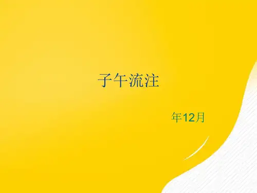 子午流注优秀PPT资料