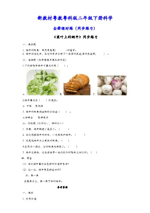 新教材粤教粤科版二年级下册科学全册课时练(同步练习)