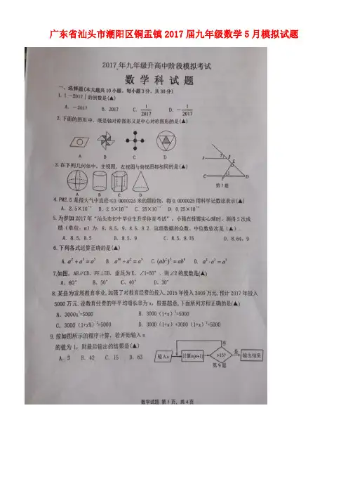 广东省汕头市潮阳区铜盂镇九年级数学5月模拟试题(扫描版)
