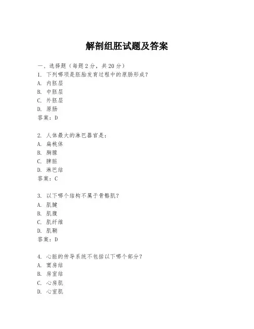 解剖组胚试题及答案