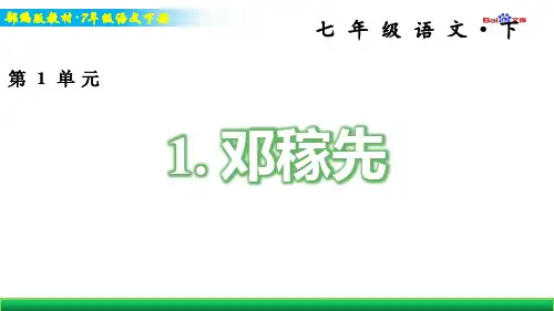 部编版7年级下册语文习题课件-邓稼先