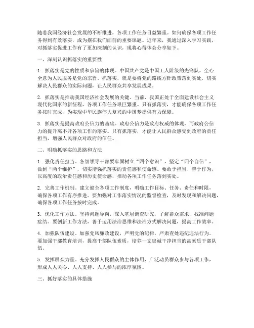 抓落实促进工作心得体会