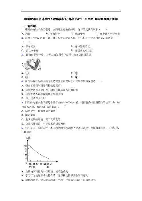 深圳罗湖区明珠学校人教部编版(八年级)初二上册生物 期末测试题及答案