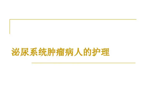 泌尿系统肿瘤病人的护理(教学课件)