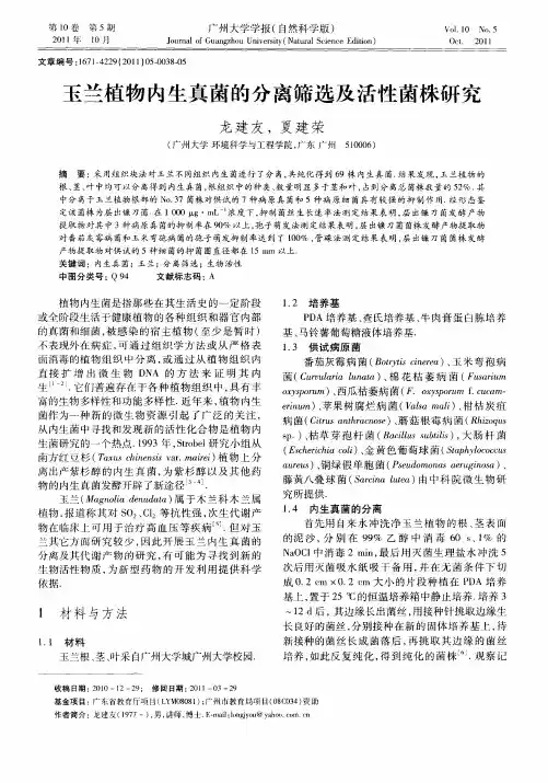 玉兰植物内生真菌的分离筛选及活性菌株研究