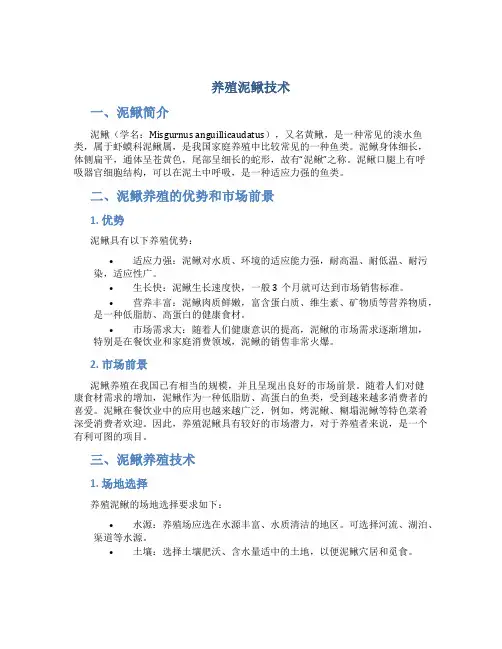养殖泥鳅技术