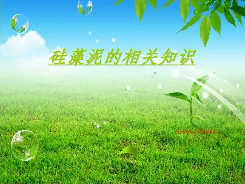 《硅藻泥相关知识》PPT课件