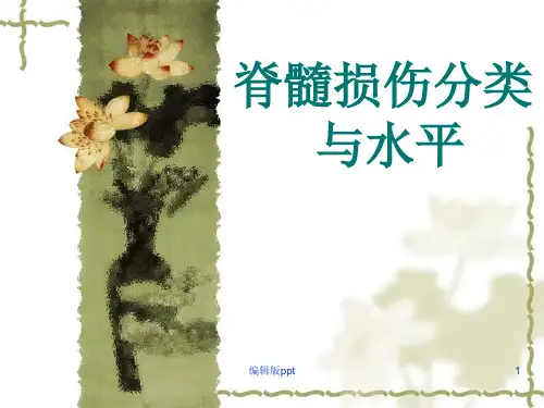 脊髓损伤分类与水平PPT课件