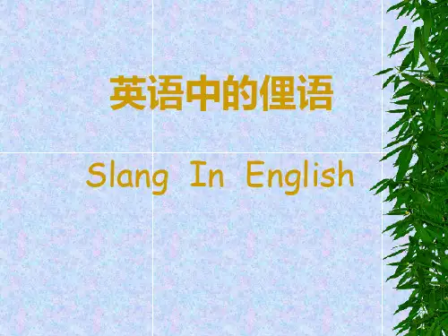 英语中的俚语、成语和谚语