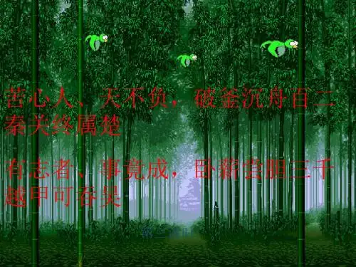 离子反应(第三课时)