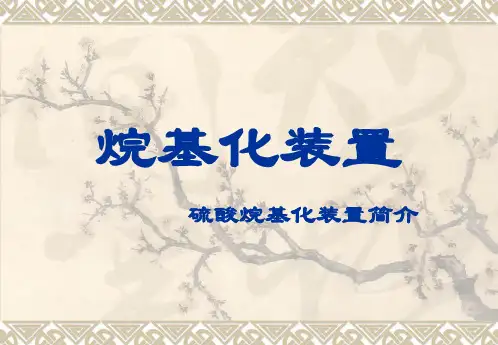 烷基化装置