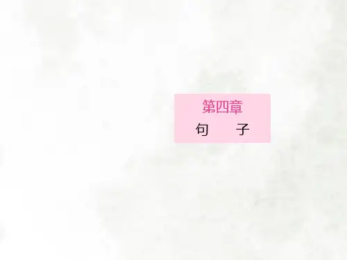 六年级下册专题复习第四章 句子课件(共56张PPT)