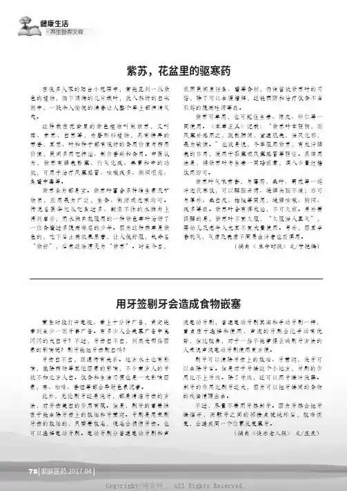 紫苏，花盆里的驱寒药