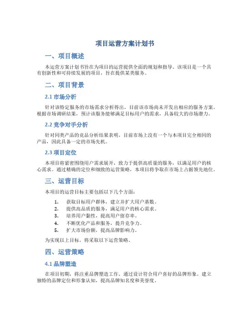 项目运营方案计划书