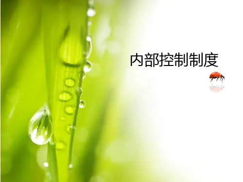 内部控制PPT
