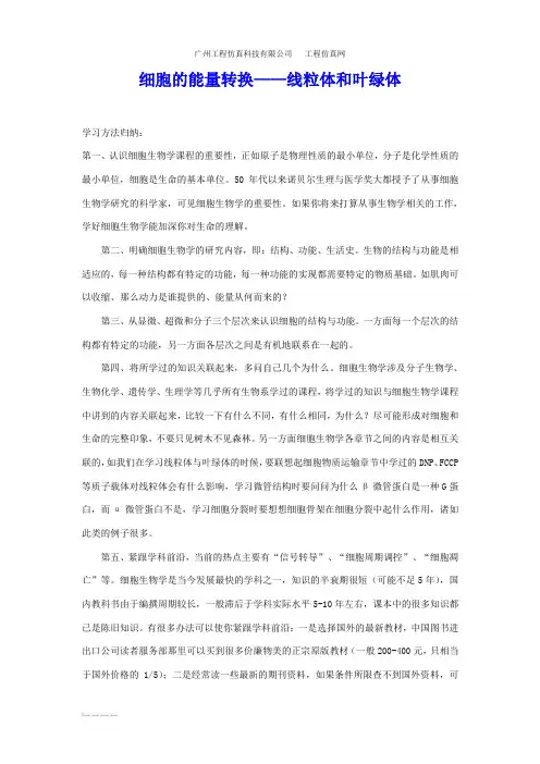细胞能量的转换