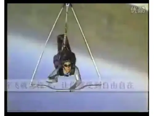 初中生物人教版八年级上册第六节 鸟