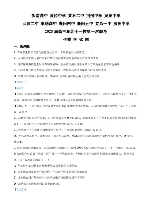 湖北省十一校2022-2023学年高三上学期第一次联考生物试题(解析版)