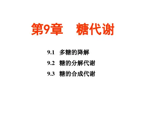 植物生理学：9.糖代谢-2017