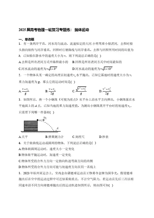 2025届高考物理一轮复习专题练： 抛体运动(含解析)