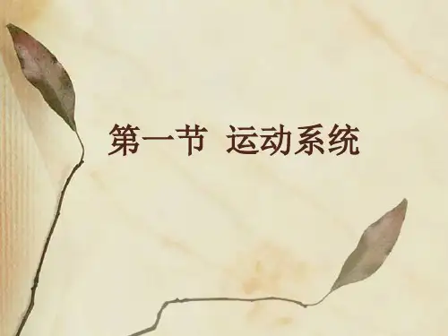 幼儿卫生与营养第二课运动系统