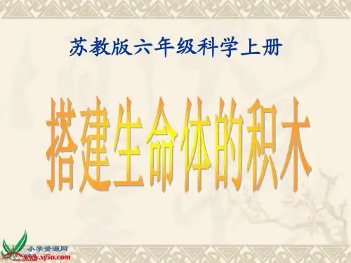 苏教版小学六年级上册《搭建生命体的积木》课件