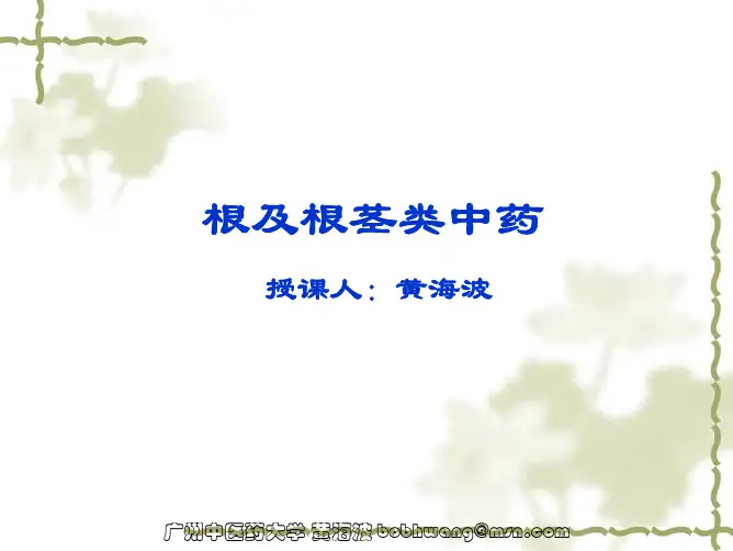 根及根茎类中药4