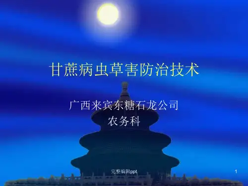 甘蔗病虫草害防治技术appt课件
