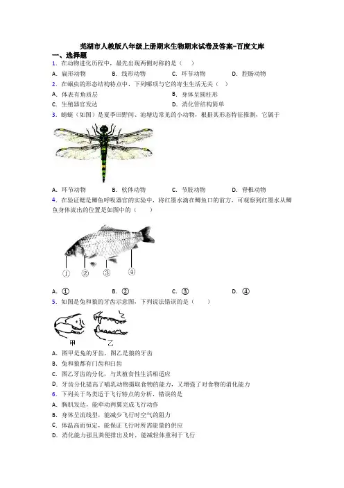 芜湖市人教版八年级上册期末生物期末试卷及答案-百度文库