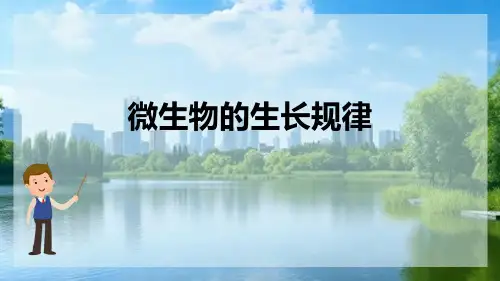 微生物生理—微生物生长规律