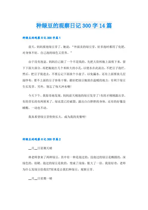 种绿豆的观察日记300字14篇