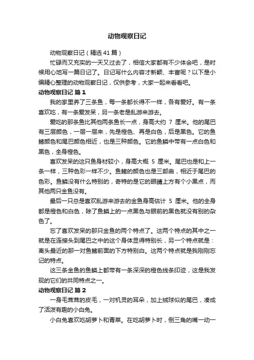 动物观察日记（精选41篇）