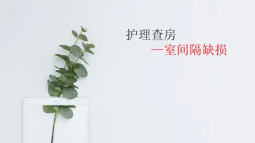 室间隔缺损的护理查房12301