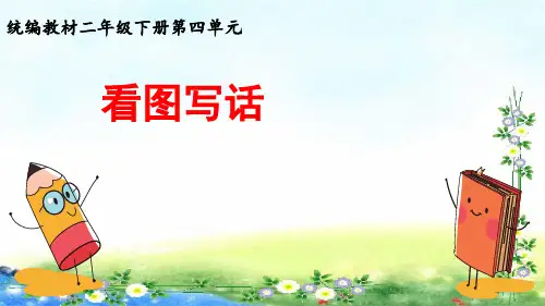 部编二年级下册语文第四单元  看图写话 13张幻灯片